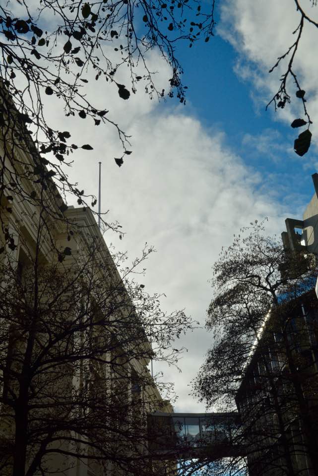 20476234_10155564383044137_7261838192285922459_n